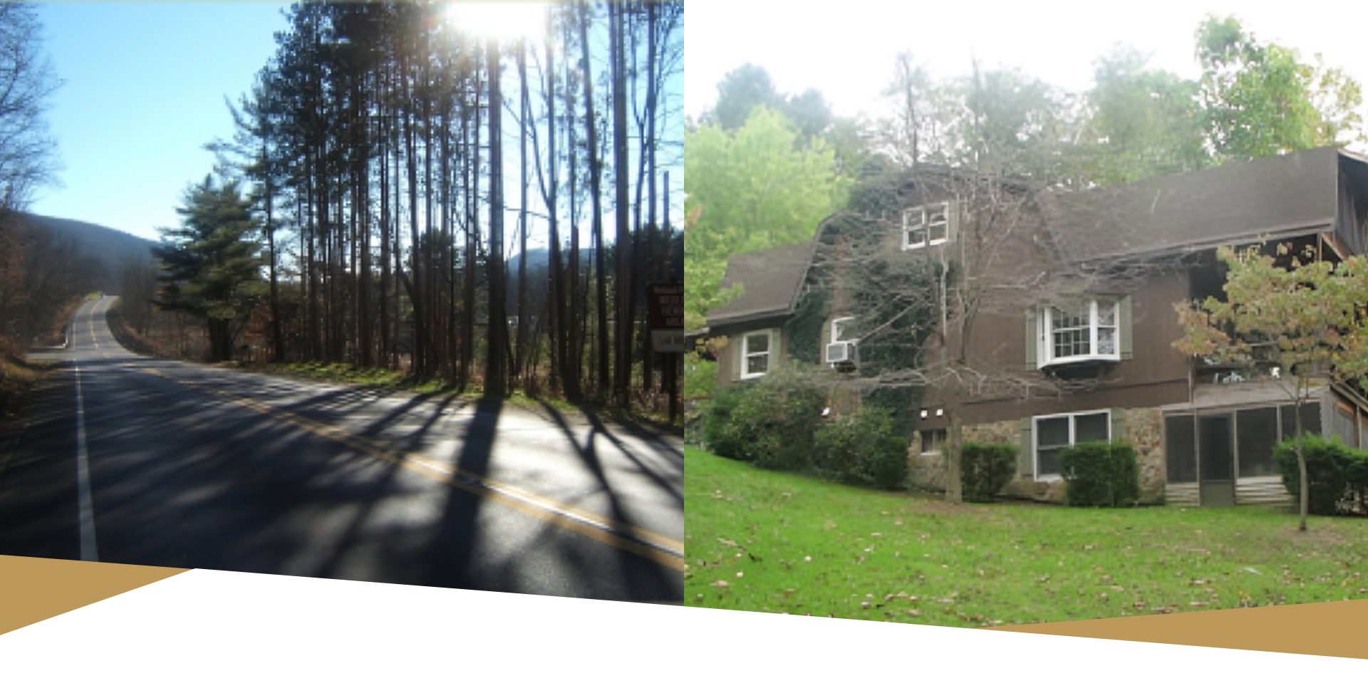 A scenic road with a house in the woods.