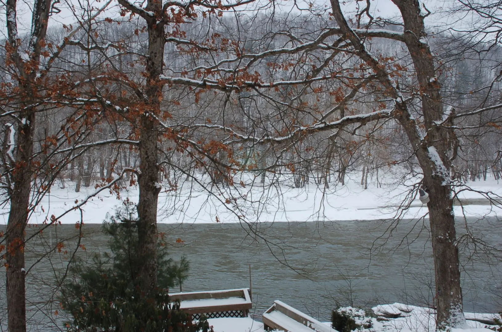 Snow-covered trees overlooking a river.